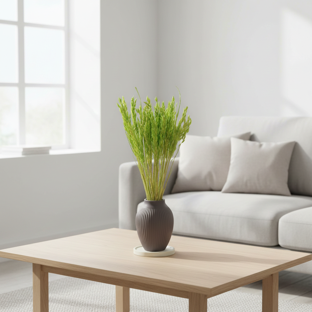 Sušená Avena (Oves) zelená - přírodní dekorační tráva pro aranžmá